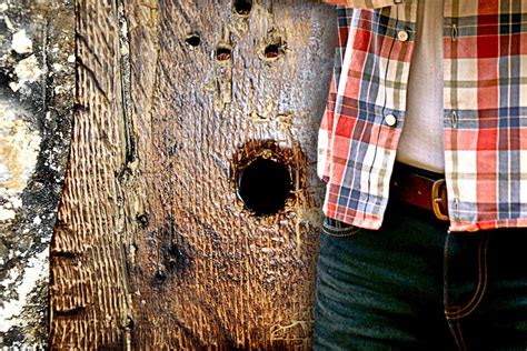 teen at gloryhole|Glory holes during the pandemic: Men are returning to them, on .